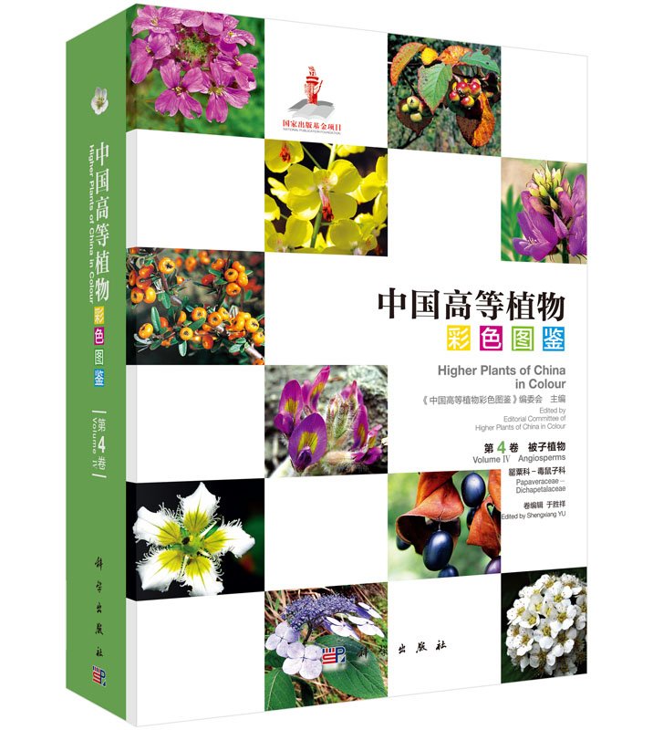 Higher plants of China in colour: Volume IV Angiosperms Papavra (image for) Higher plants of China in colour: Volume IV Angiosperms Papavra