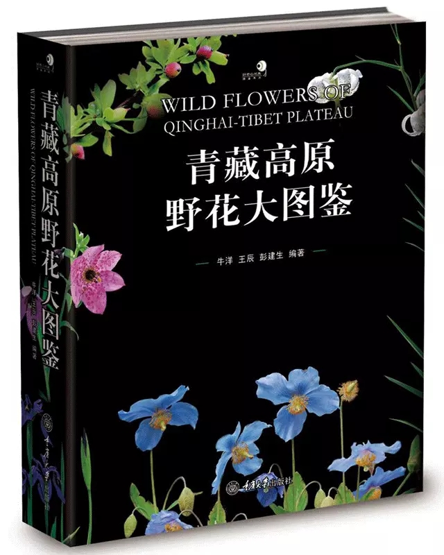 (image for) Wild Flowers of Qinghai-Tibet plateau