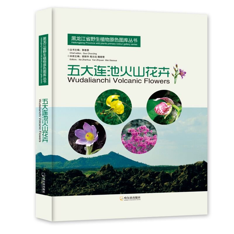 (image for) Wudalianchi Volcanic Flowers